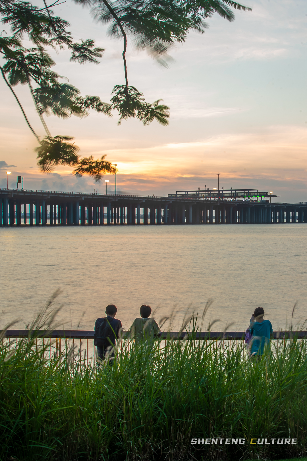 ȫ��ѣ�����9���붬����ء�ÿ����������