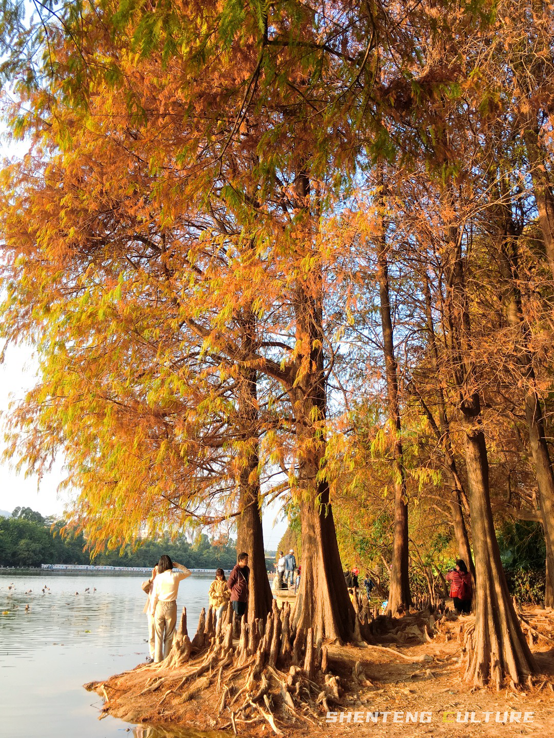 ȫ��ѣ�����9���붬����ء�ÿ����������