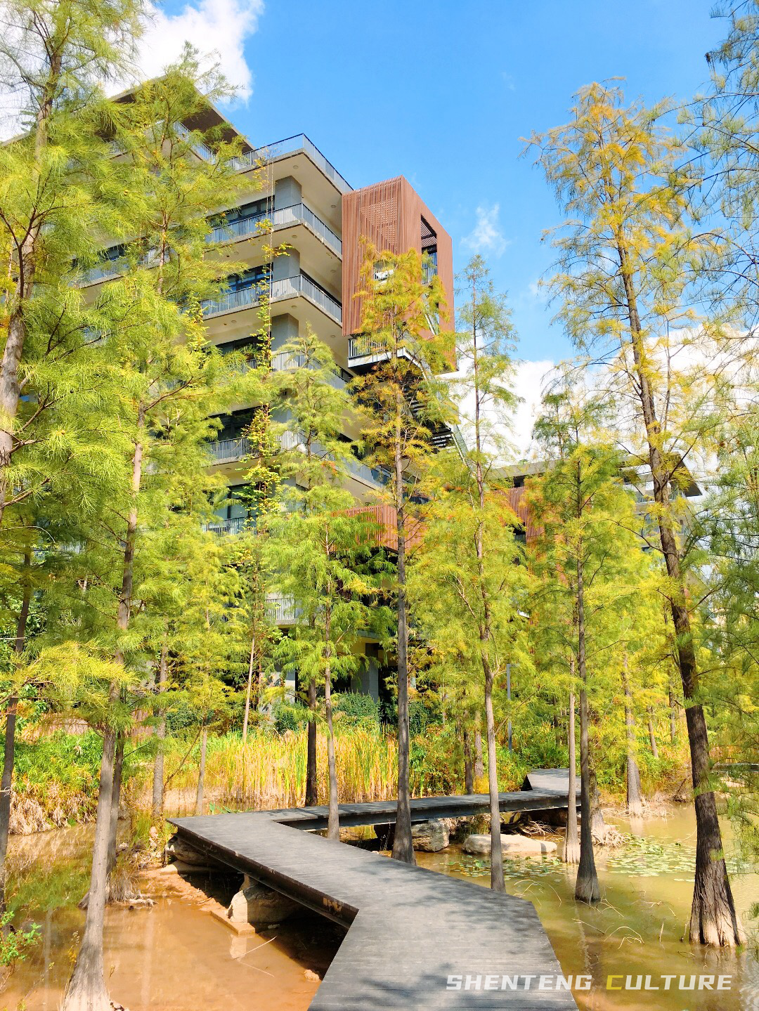 ȫ��ѣ�����9���붬����ء�ÿ����������