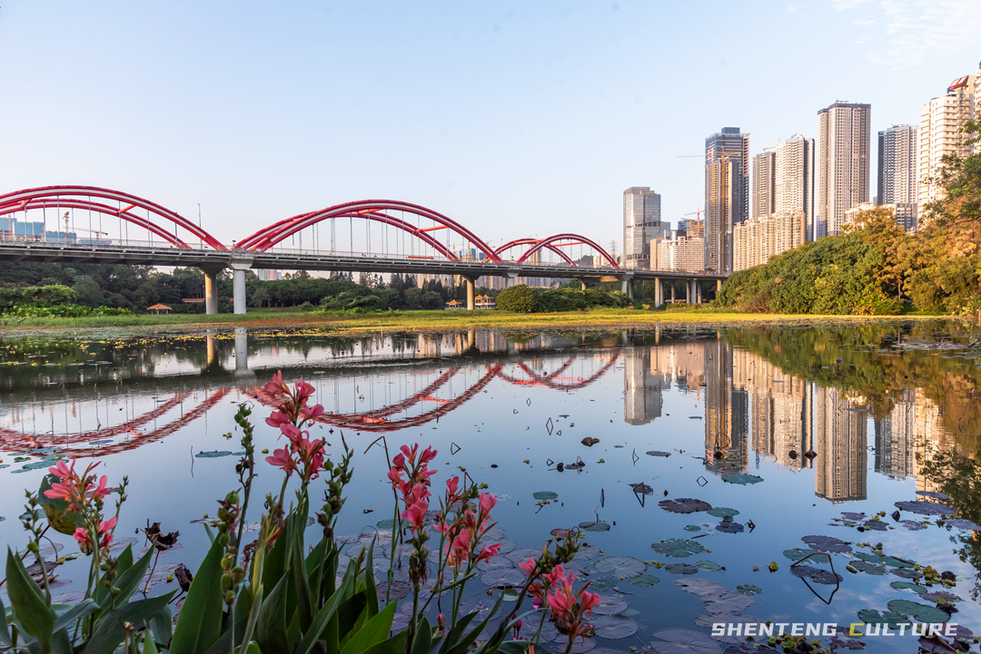 ȫ��ѣ�����9���붬����ء�ÿ����������