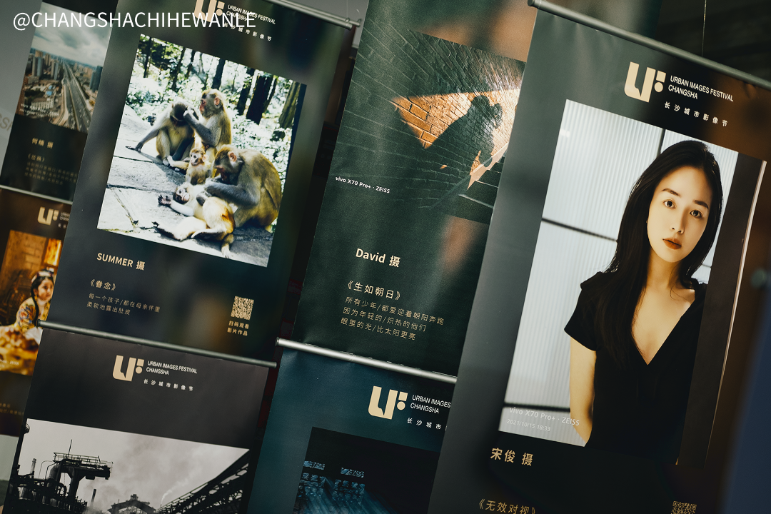 ������Ŀ�ĳ�ɳ�׽����Ӱ��ڣ����������ʸг�Ƭ��Ӱ����ʱ��