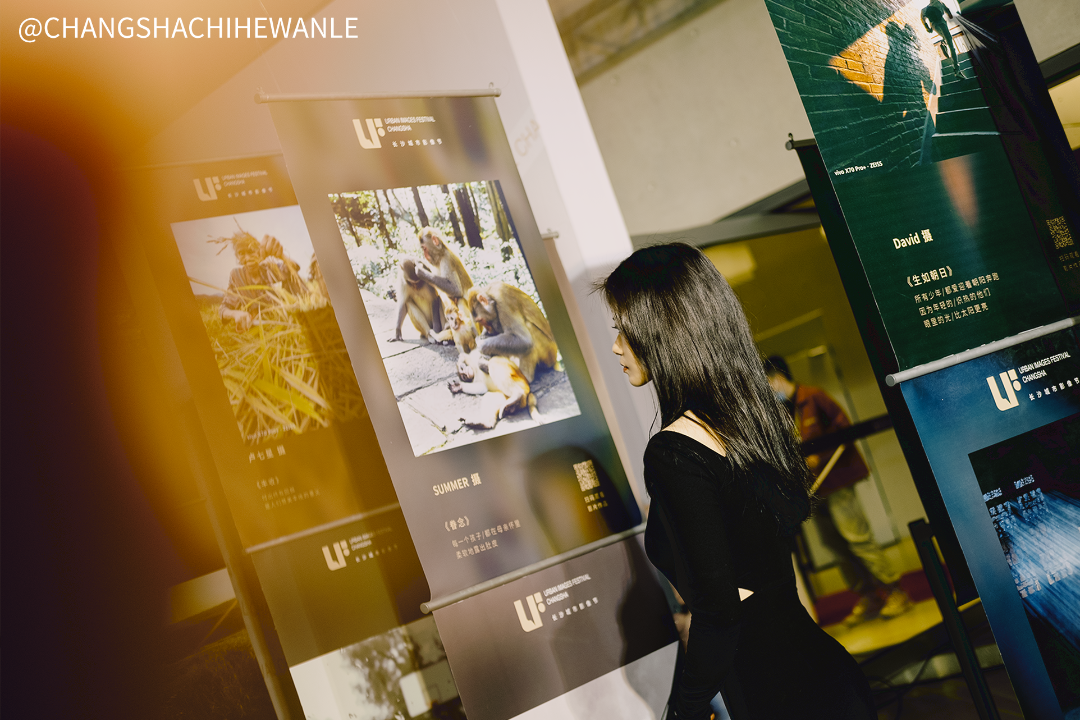 ������Ŀ�ĳ�ɳ�׽����Ӱ��ڣ����������ʸг�Ƭ��Ӱ����ʱ��