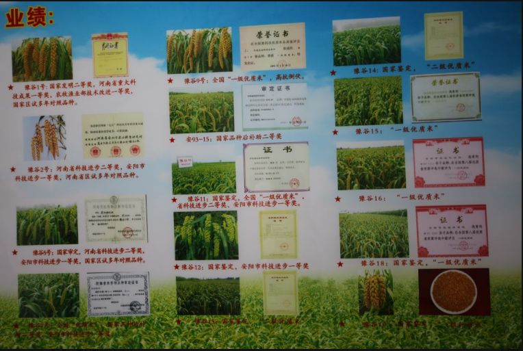 安阳农科院—以工匠精神做农研