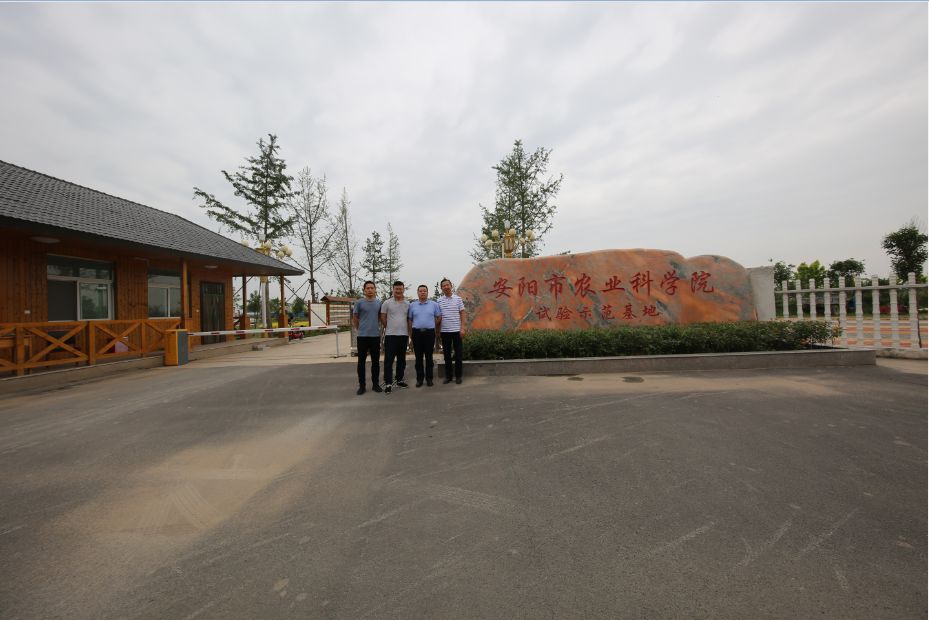 安阳农科院—以工匠精神做农研