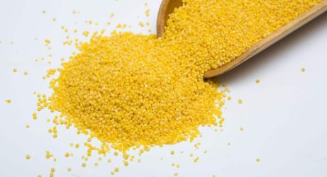 点进来就让你更懂养生