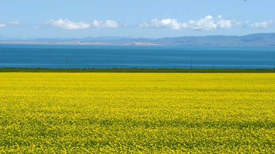 点进来就让你更懂养生