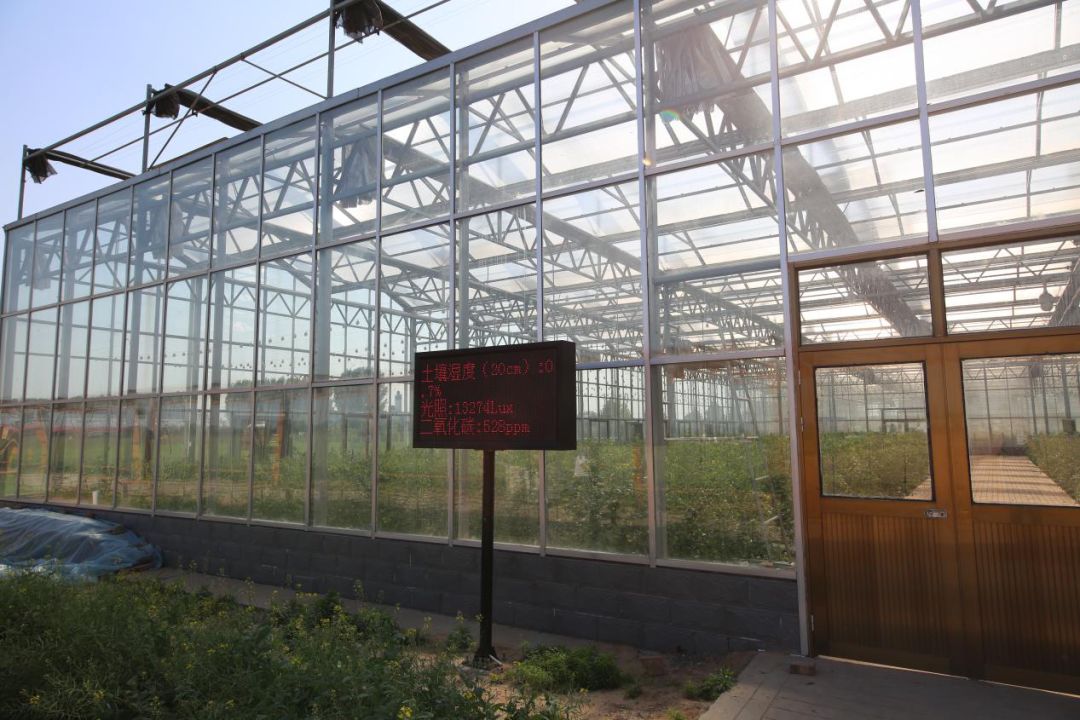 夏至话饮食 都是讲究人