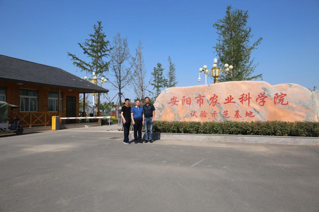 厉害了我的“安阳农科院”