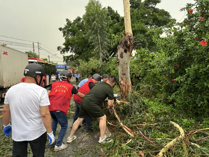 镇人大代表冯海泉和龙振宇赶赴良沙路、长钟路受灾现场，帮助清理倾倒的树木、电杆、雨蓬等杂物。