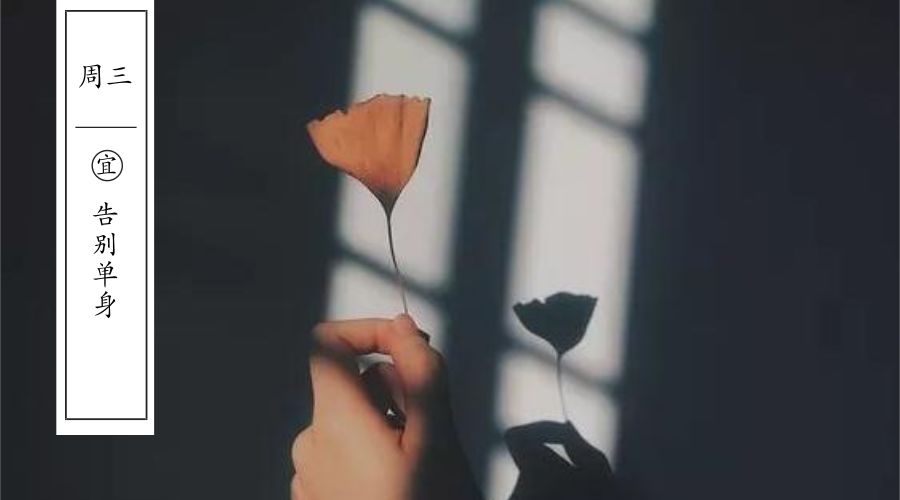 相亲其实并不可怕