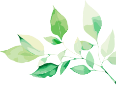 什么是260胃镜学无止“镜” 聚力前行丨我院开展《规范胃镜操作、认识早期胃癌》培训会_https://www.jmylbn.com_新闻资讯_第3张