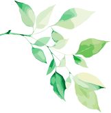 什么是260胃镜学无止“镜” 聚力前行丨我院开展《规范胃镜操作、认识早期胃癌》培训会_https://www.jmylbn.com_新闻资讯_第2张