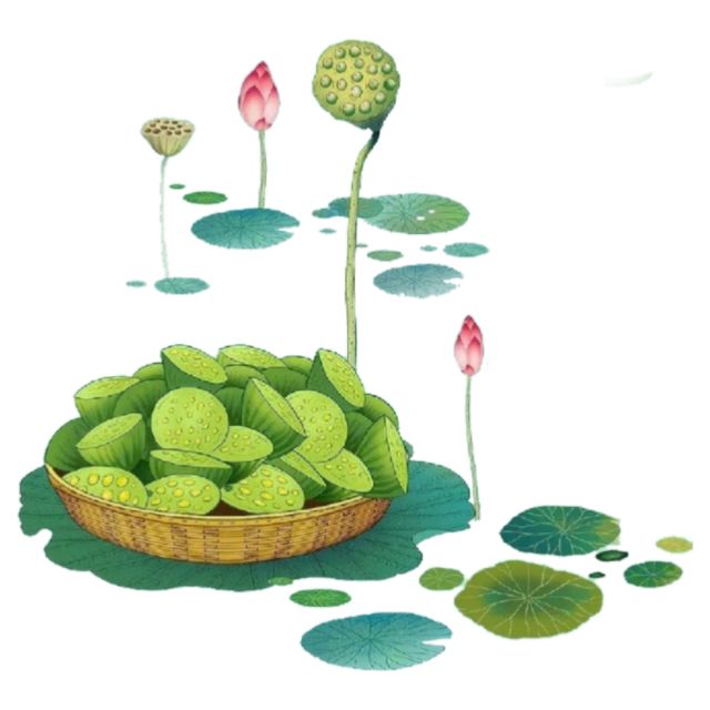 职场礼仪_职场礼仪心得体会800字_职场礼仪ppt课件免费