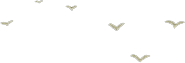 三山中學(xué)_福清三山中學(xué)_三山中學(xué)全稱