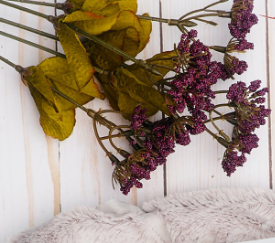 2021新品发布会两站结束后，这些数字你读懂了吗？