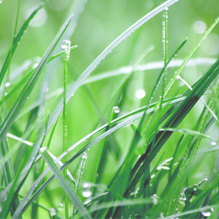 心肺功能仪怎么保养【新设备、新技术】关注肺部健康  注重肺功能检查——武山县人民医院心肺功能测试仪让您的幸福在您的健康中开启_https://www.jmylbn.com_新闻资讯_第6张