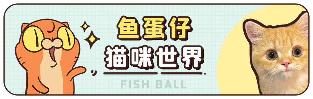 看头以为是小猫咪结果是辆卡车,妹子心疼小猫搬家5次瘦几斤，网友点开一看：这是你搬家..
