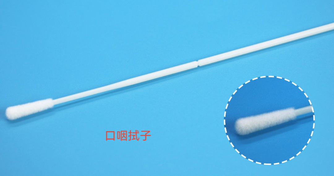 流感病毒怎么采样流行性感冒实验室病原学检查相关知识科普_https://www.jmylbn.com_新闻资讯_第5张