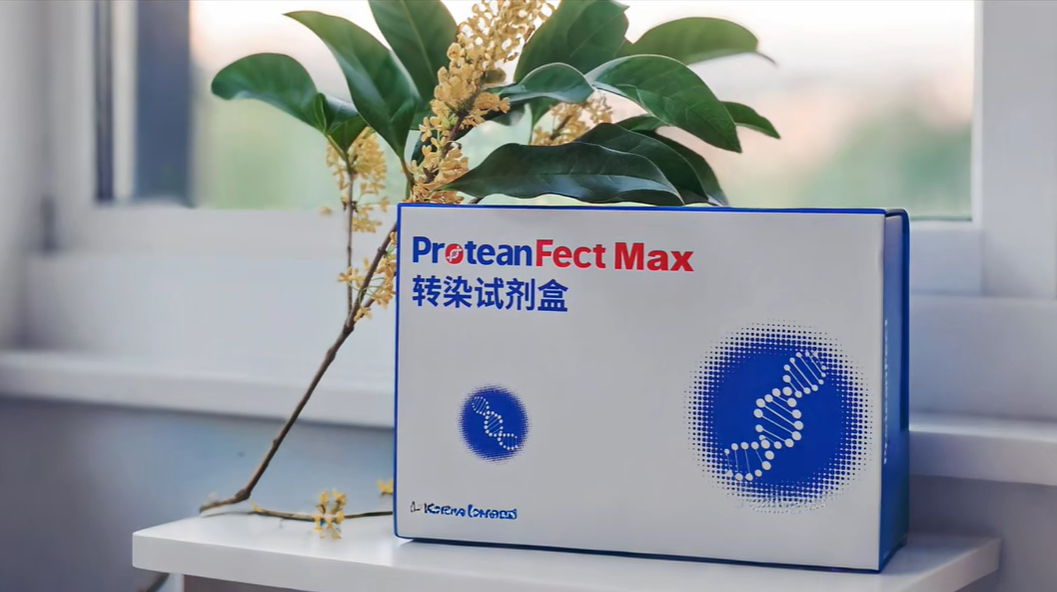 PT01—ProteanFect 轉(zhuǎn)染試劑盒 高效轉(zhuǎn)染