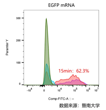 PT01—ProteanFect 轉(zhuǎn)染試劑盒 高效轉(zhuǎn)染