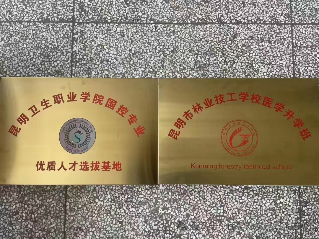 各大學(xué)在上海錄取分?jǐn)?shù)線_各高校上海錄取分?jǐn)?shù)線排名_2024年上海工程技術(shù)大學(xué)錄取分?jǐn)?shù)線(2024各省份錄取分?jǐn)?shù)線及位次排名)