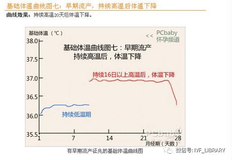 基础体温与怀孕的关系