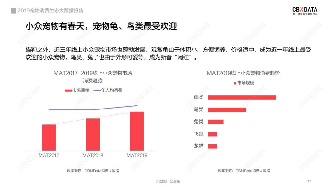 CBNData：2019宠物消费生态大数据报告（199it）