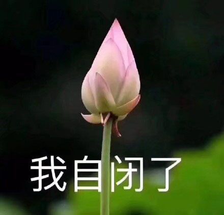 足球博主猜世界杯冠军_猜足球球员图片_猜足球明星