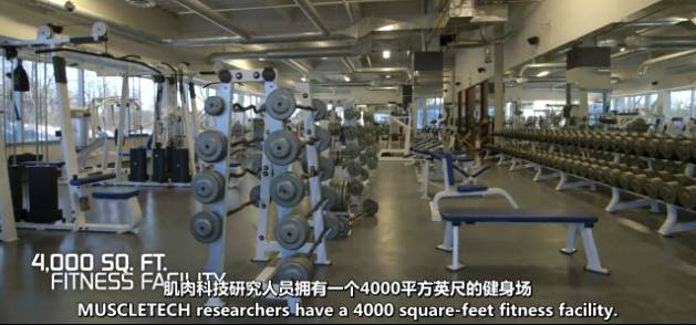 限时55折！iherb特惠之肌肉科技Muscletech