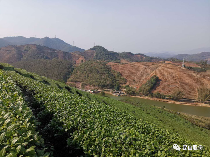 微信圖片_20200507111630