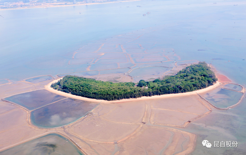 微信圖片_20200507102647