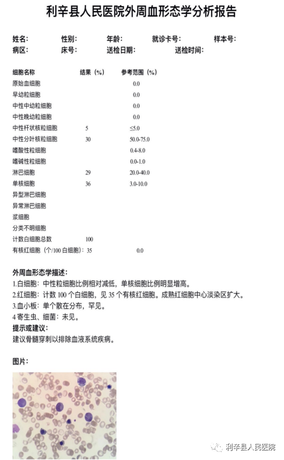 细胞分析检查什么我院检验科开展“外周血形态学分析”检查_https://www.jmylbn.com_新闻资讯_第2张