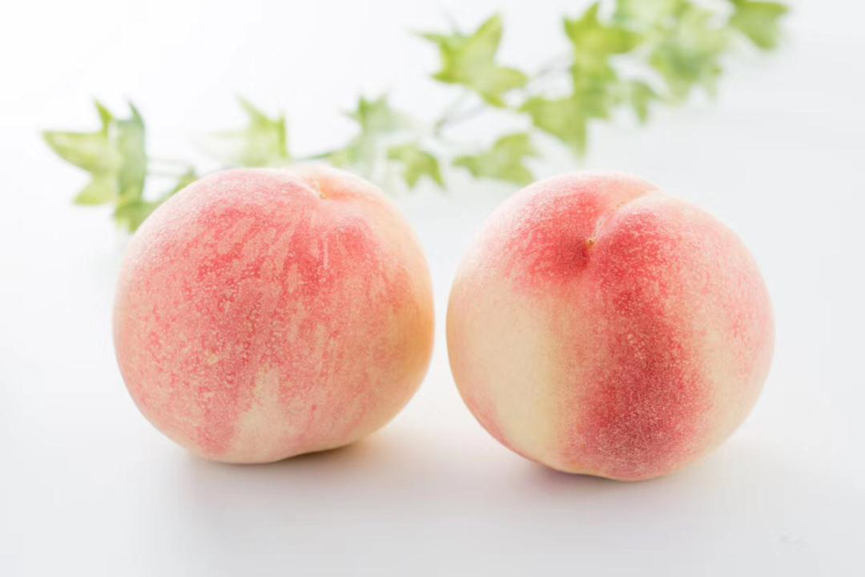 区域公用品牌在行动——南汇水蜜桃