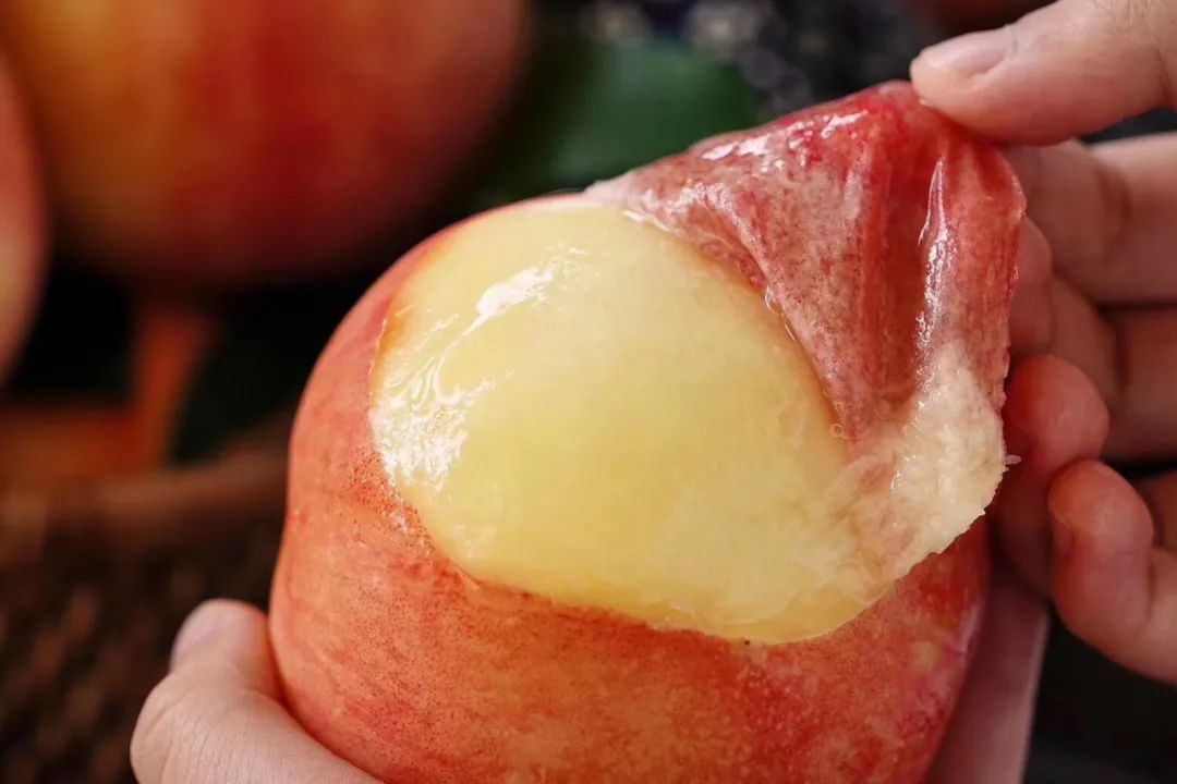 以前上海人吃水蜜桃,都是先剥皮,豁一个小口,吸一口汁水后再品食里面