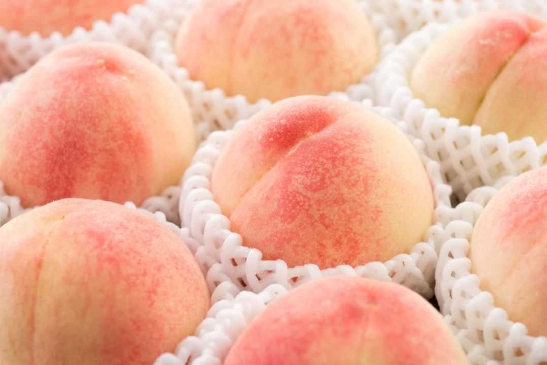 区域公用品牌在行动——南汇水蜜桃