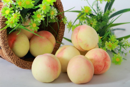 南汇水蜜桃前身是上海水蜜桃.