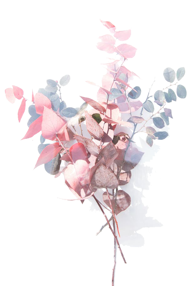 导出图片Sat Jul 17 2021 17_54_35 GMT+0800 (中国标准时间).png