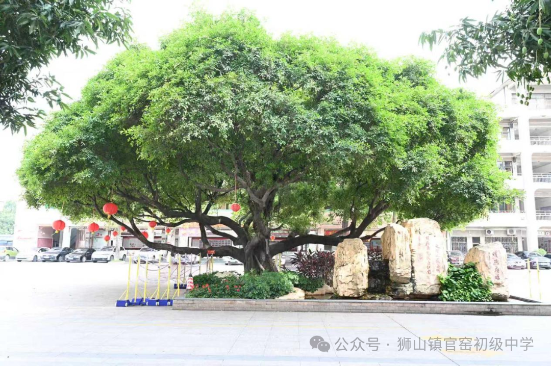 图片2.png