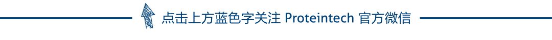 细胞焦亡：经典与非经典通路详解，揭秘这种炎症性程序性死亡方式