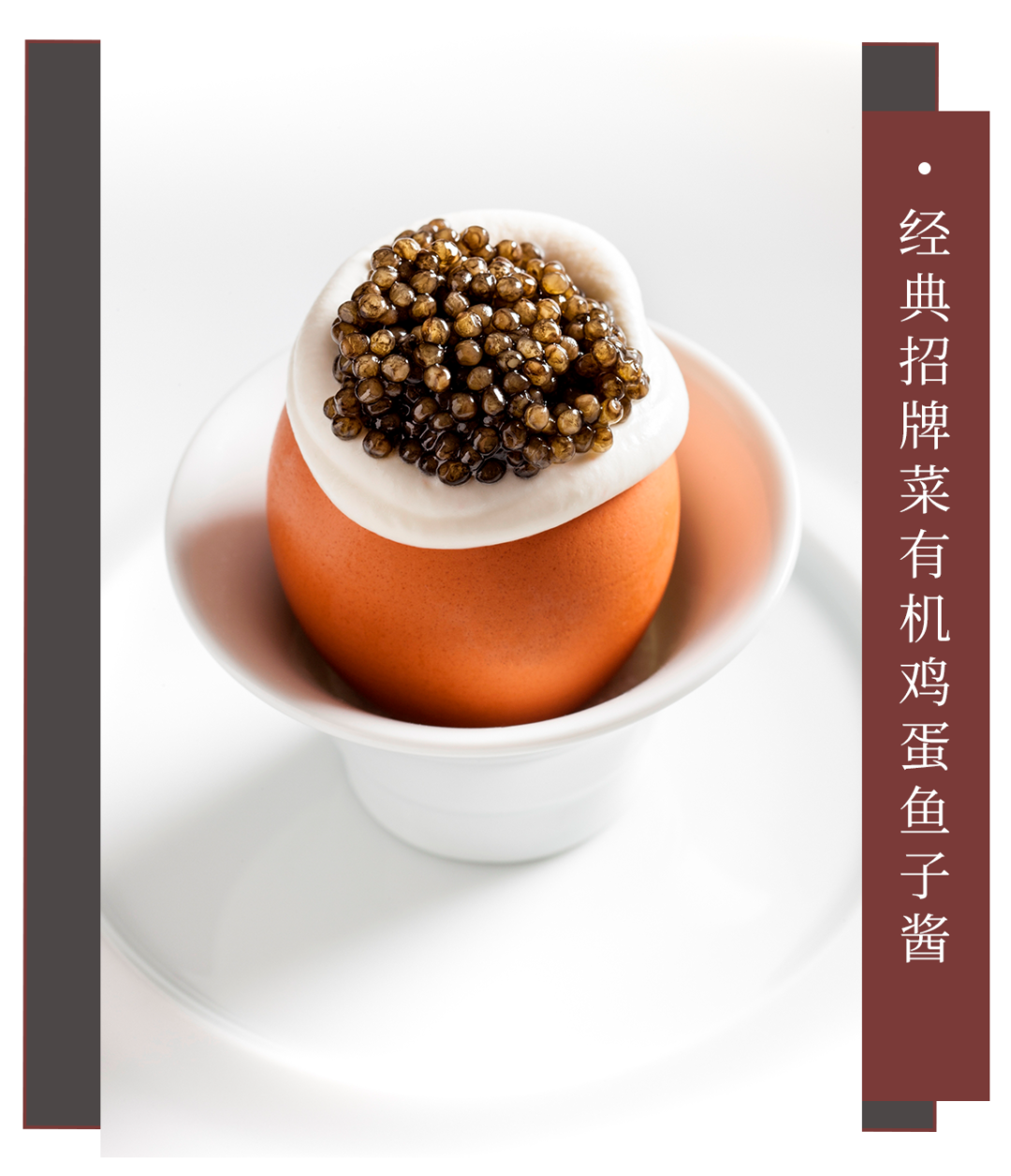 ħ�����²����̵㣬��8�ұ���ӵ��������