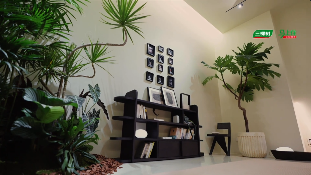 三棵树 X 抖音《心动的房子》，明星携手顶尖设计师，开启“理想家”的美学探索 涂料在线,coatingol.com