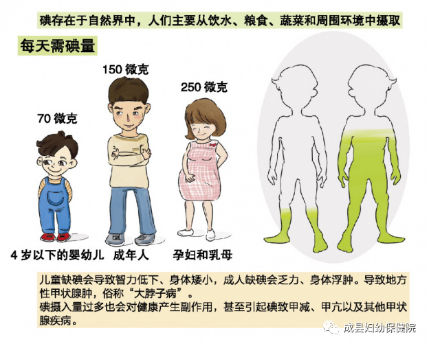 尿碘怎么测【科学补碘】尿碘检测_https://www.jmylbn.com_新闻资讯_第13张