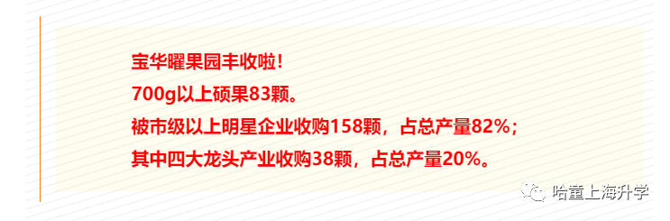 凱慧中學全稱_凱慧中學吧_凱慧中學