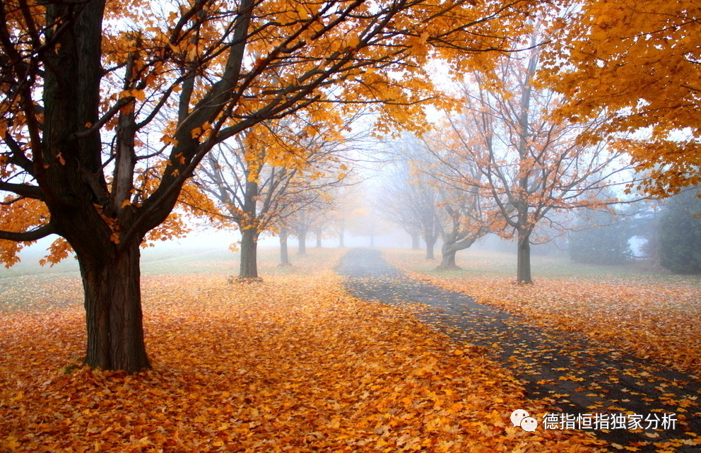 王赋辽：外汇交易如何保持正确的交易心态？532 / author:Wang Fuliao / PostsID:1580788