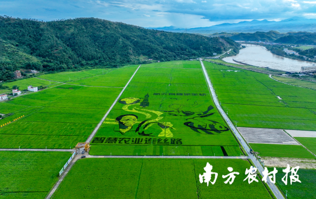 河源市東源縣柳城鎮東源萬綠智慧無人農場