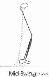 步态分析上曲线怎么解读以“RLA八分法”分析人体正常步态！_https://www.jmylbn.com_新闻资讯_第12张