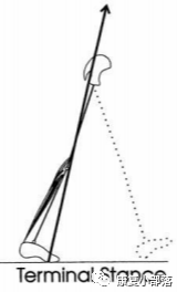 步态分析上曲线怎么解读以“RLA八分法”分析人体正常步态！_https://www.jmylbn.com_新闻资讯_第9张