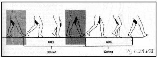步态分析上曲线怎么解读以“RLA八分法”分析人体正常步态！_https://www.jmylbn.com_新闻资讯_第4张