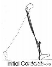 步态分析上曲线怎么解读以“RLA八分法”分析人体正常步态！_https://www.jmylbn.com_新闻资讯_第6张