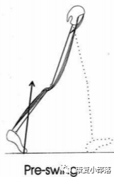 步态分析上曲线怎么解读以“RLA八分法”分析人体正常步态！_https://www.jmylbn.com_新闻资讯_第10张